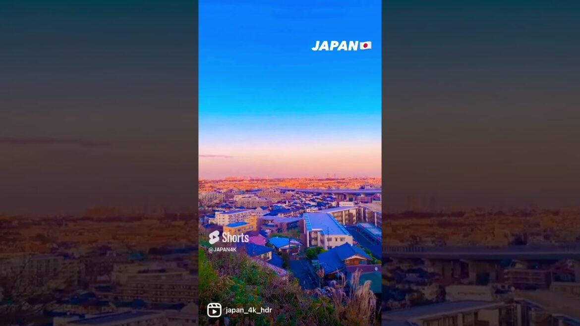 📍 Japan 🇯🇵 #shorts #japan #tokyo