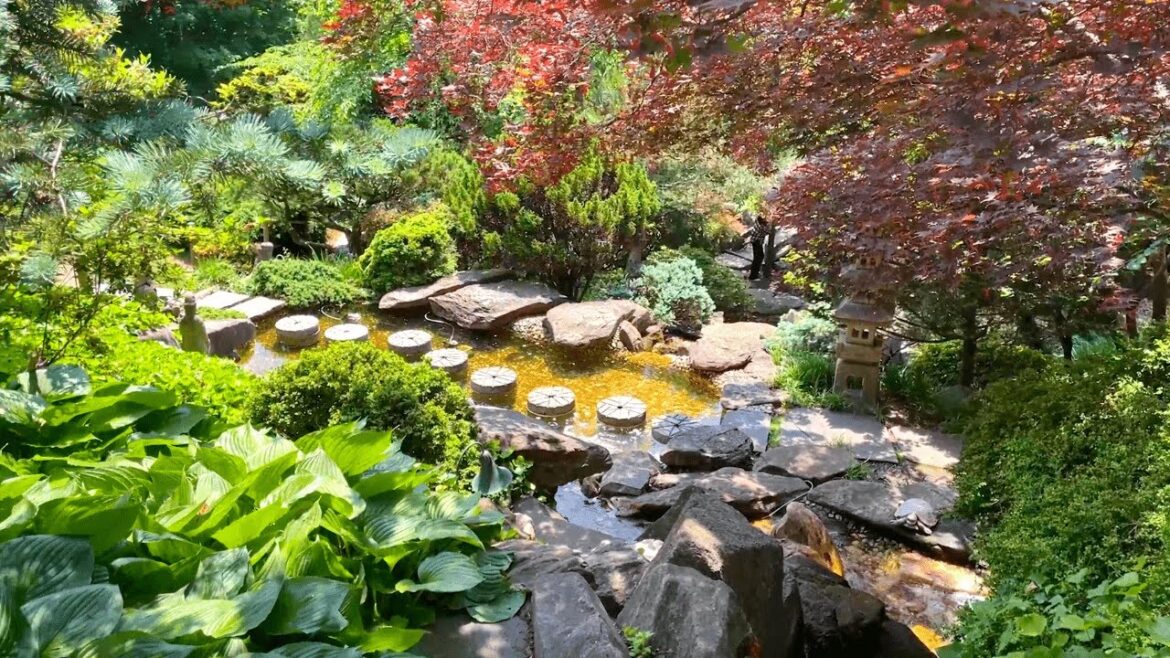 Japanese Garden Tour โฉ๏ธ Hillwood Estate Museum & Gardens ๐บ๐ธ Washington D.C. Travel Japanese Garden Tour โฉ๏ธ Hillwood Estate Museum & Gardens ๐บ๐ธ Washington D.C. Travel