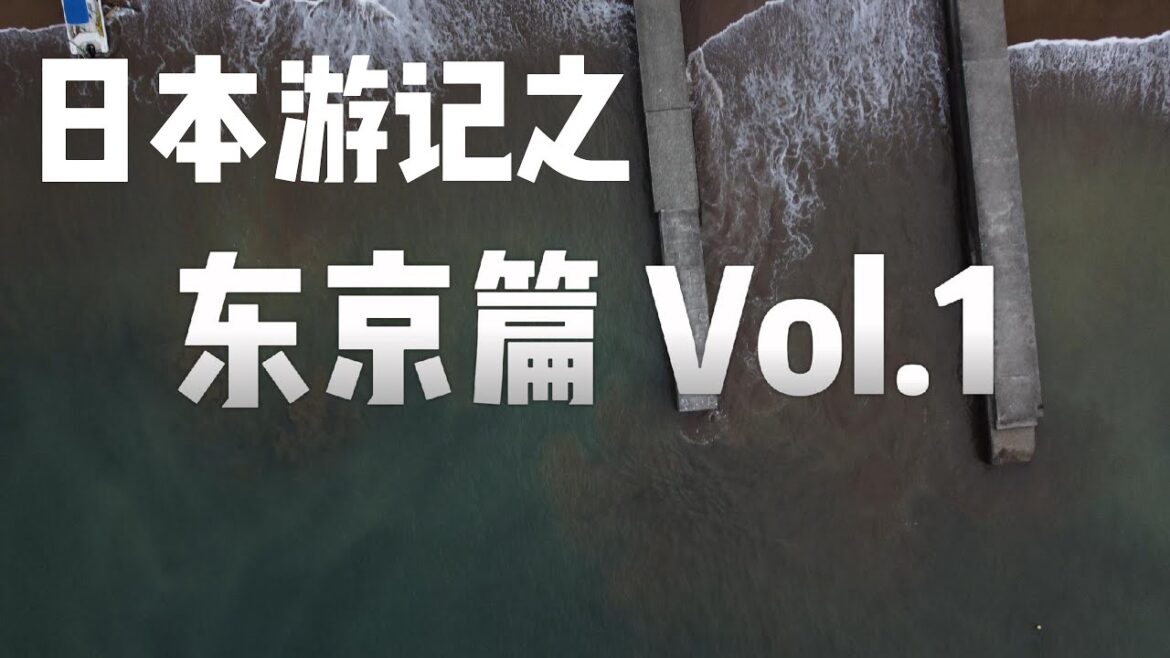 【日本游记】东京篇Vol.1|Vlog|旅游吃喝|无人机航拍 | 富士山 |浅草 【日本游记】东京篇Vol.1|Vlog|旅游吃喝|无人机航拍 | 富士山 |浅草