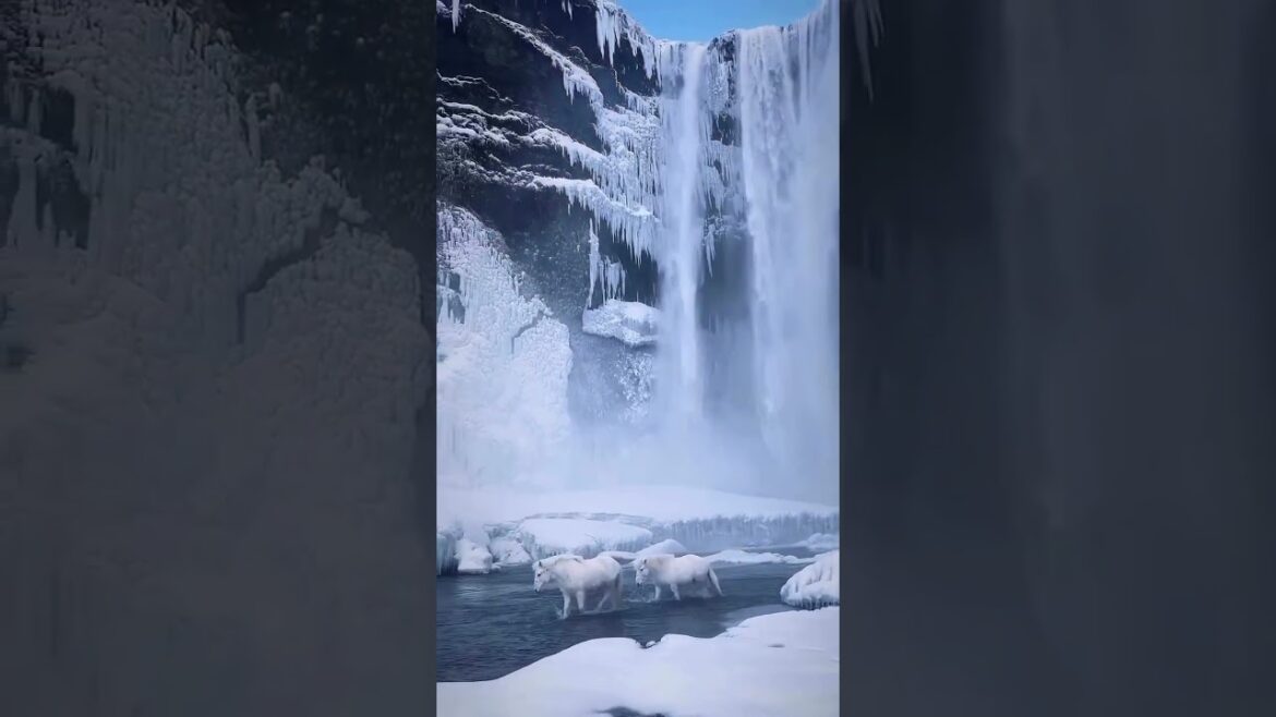 Traveling on a Budget: 10 Affordable Destinations You Shouldn't Miss #shorts #travel #beach #nature