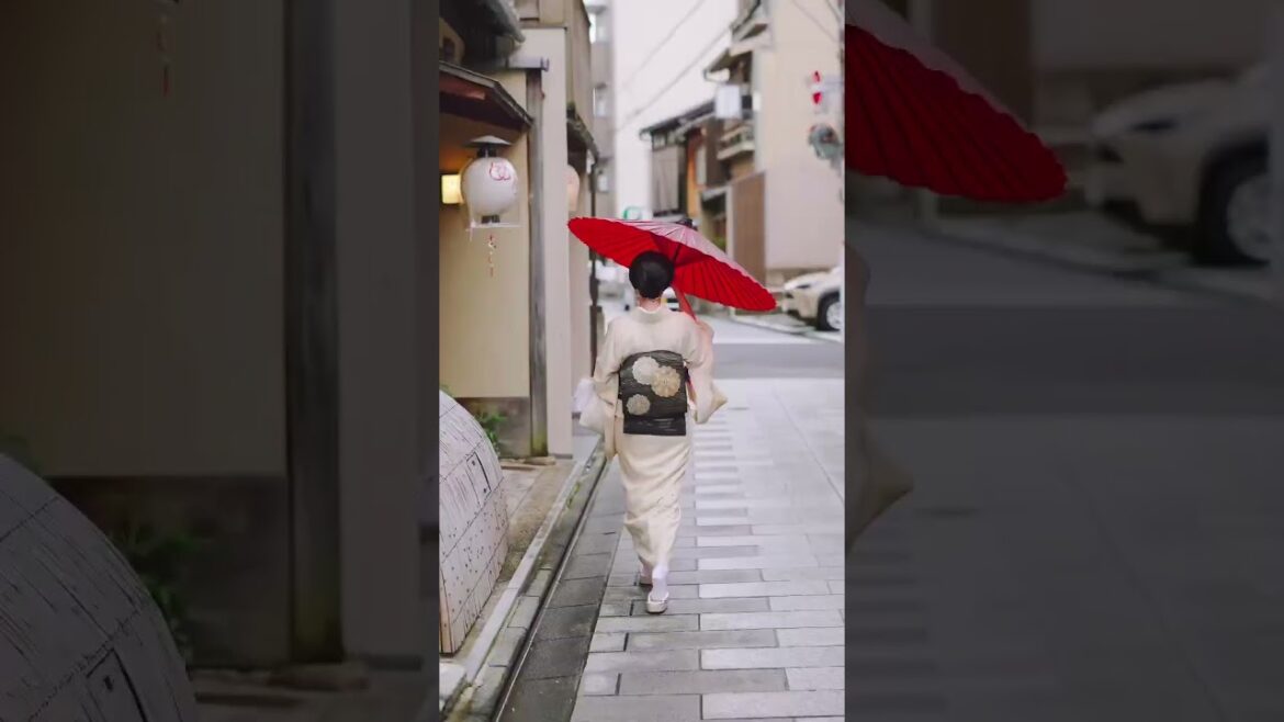 The 4 seasons in Japan π―π΅πΈππβοΈ#short #shorts #travel #vacation #shortsfeed #japan #japanese The 4 seasons in Japan π―π΅πΈππβοΈ#short #shorts #travel #vacation #shortsfeed #japan #japanese