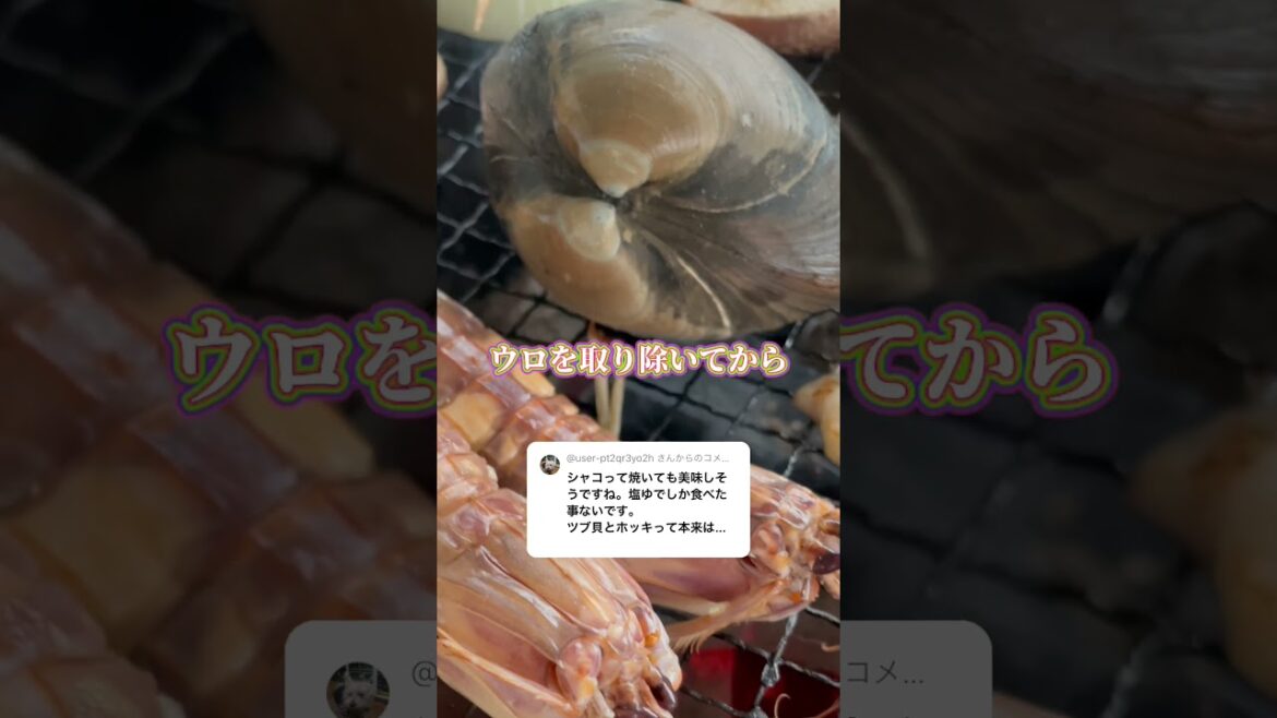 バーベキューの注意点「シャコ・ホッキ・ツブ」美味しく安全に食べる方法 #shorts