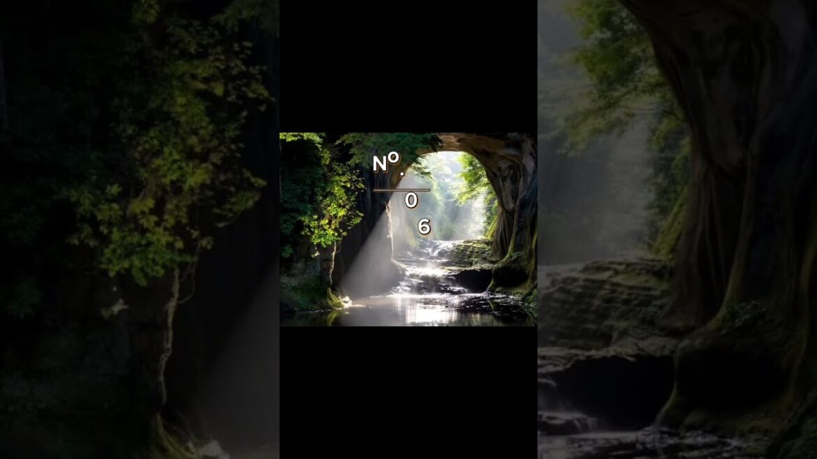 Best ten places to see in chiba japan🍁🍂