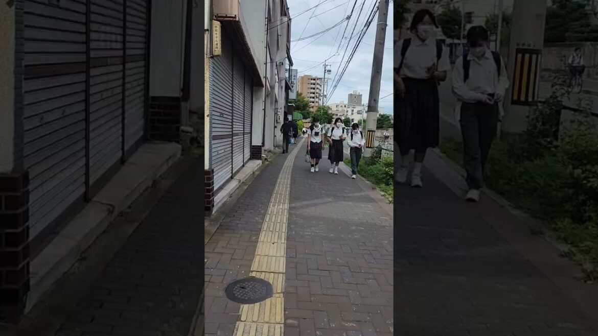 엄청 평범한 수요일 #nagoya #나고야 #유학 #유학생 #travel #나고야여행