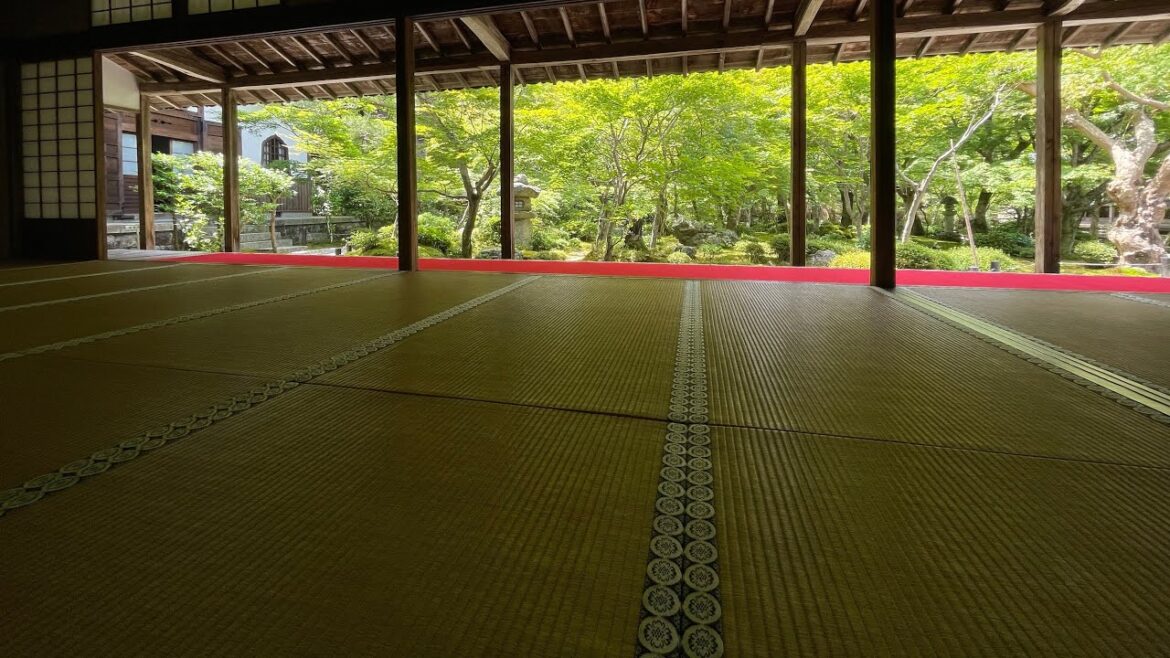 京都青もみじ旅行 2023年6月 Kyoto Japan 06/23 京都青もみじ旅行 2023年6月 Kyoto Japan 06/23