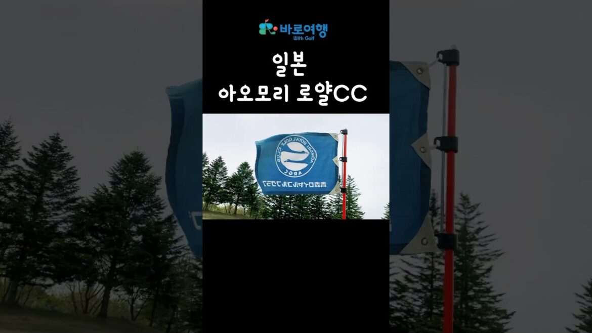 머리올린날 2탄! 일본 아오모리로얄CC⛳️ #골린이 #생애첫필드 #여름골프추천 #아오모리골프 #바로여행