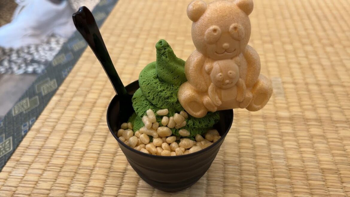 TOKYO ASAKUSA JAPANESE STREET  FOOD