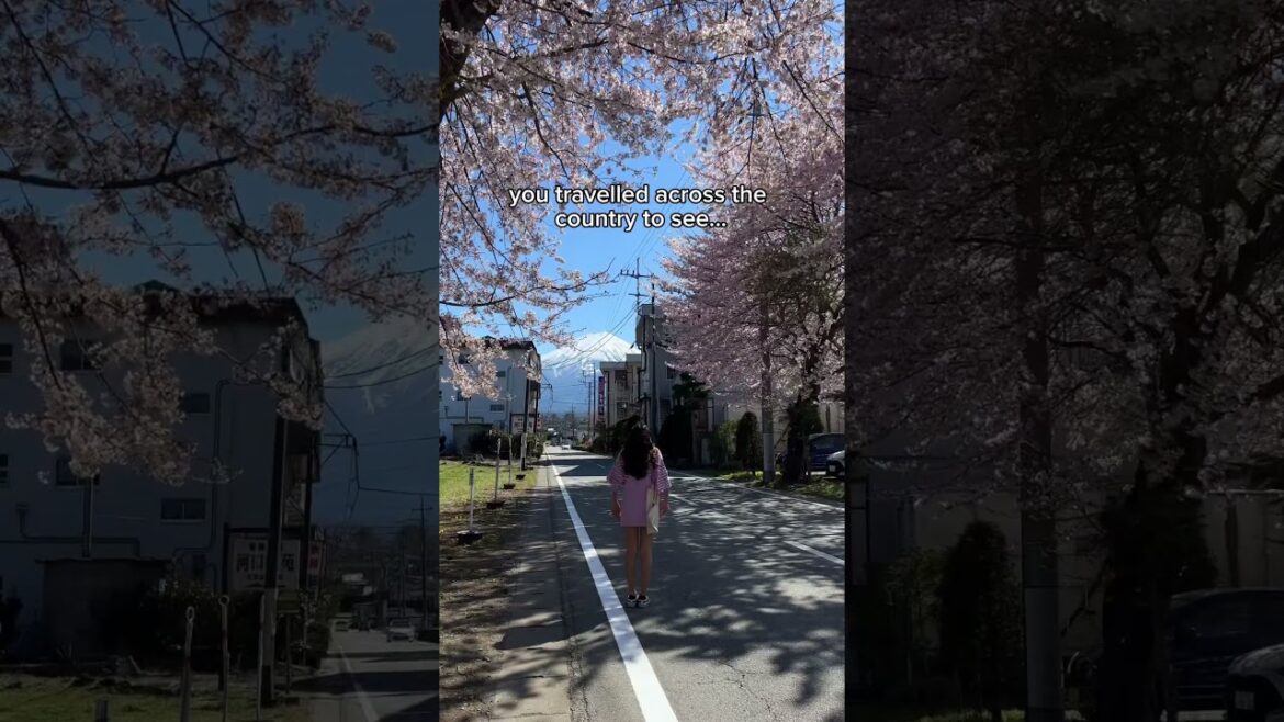 FINALLY SEEING MT FUJI #travelanddestinations #japantravel #mountfuji FINALLY SEEING MT FUJI #travelanddestinations #japantravel #mountfuji