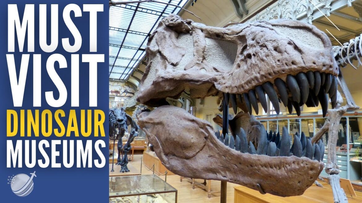 Top 10 Best Dinosaur Museums in the World 2023 Top 10 Best Dinosaur Museums in the World 2023