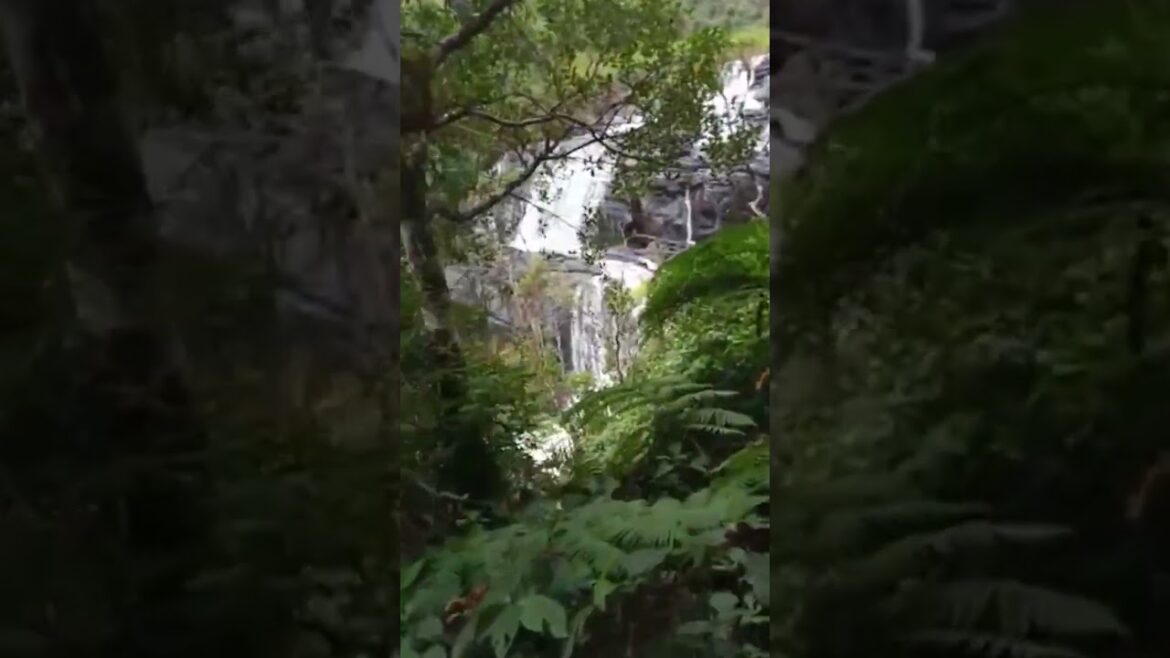 #shorts | kandy travel sri lanka | sri lanka travel guide | #youtubeshorts #short #shorts | kandy travel sri lanka | sri lanka travel guide | #youtubeshorts #short