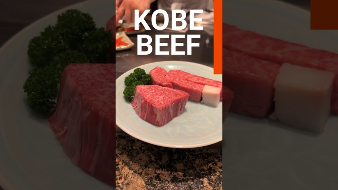 Kobe Waygu at the source! Beef perfected! 🥹🥹A must do on your next #triptojapan #foodtravel #short Kobe Waygu at the source! Beef perfected! 🥹🥹A must do on your next #triptojapan #foodtravel #short