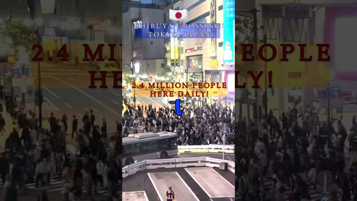 The World’s Busiest Intersection | Shibuya Crossing in Tokyo #travel #japan #tokyo #shibuya #shorts