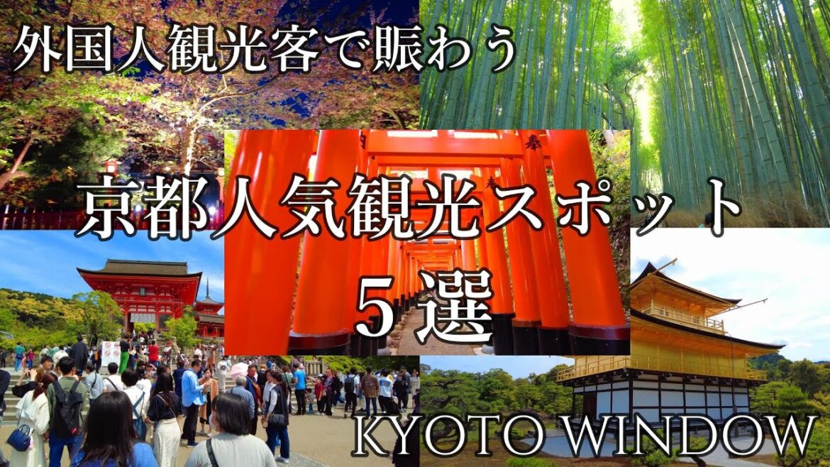 外国人観光客にも大人気【京都人気観光スポット 5選】Popular Tourist Spot in Kyoto/Walking in Kyoto 外国人観光客にも大人気【京都人気観光スポット 5選】Popular Tourist Spot in Kyoto/Walking in Kyoto