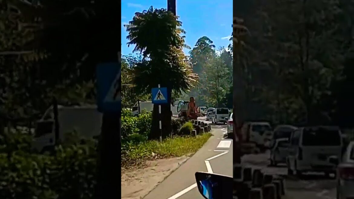 #shorts | sri lanka  baik  travel  | #youtubeshorts #shorts | sri lanka  baik  travel  | #youtubeshorts