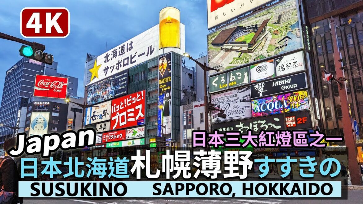 Japan／日本三大紅燈區之一，北海道札幌「薄野 すすきの」散歩 Sapporo Susukino, Hokkaido 日本3大歓楽街之一！夜晚在札幌駅前通上感受「薄野不夜天」／일본 홋카이도 삿포로