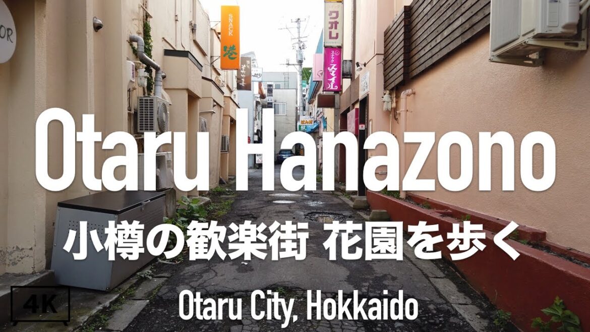 【4K】花園スナック街を歩く(小樽の歓楽街)北海道小樽市