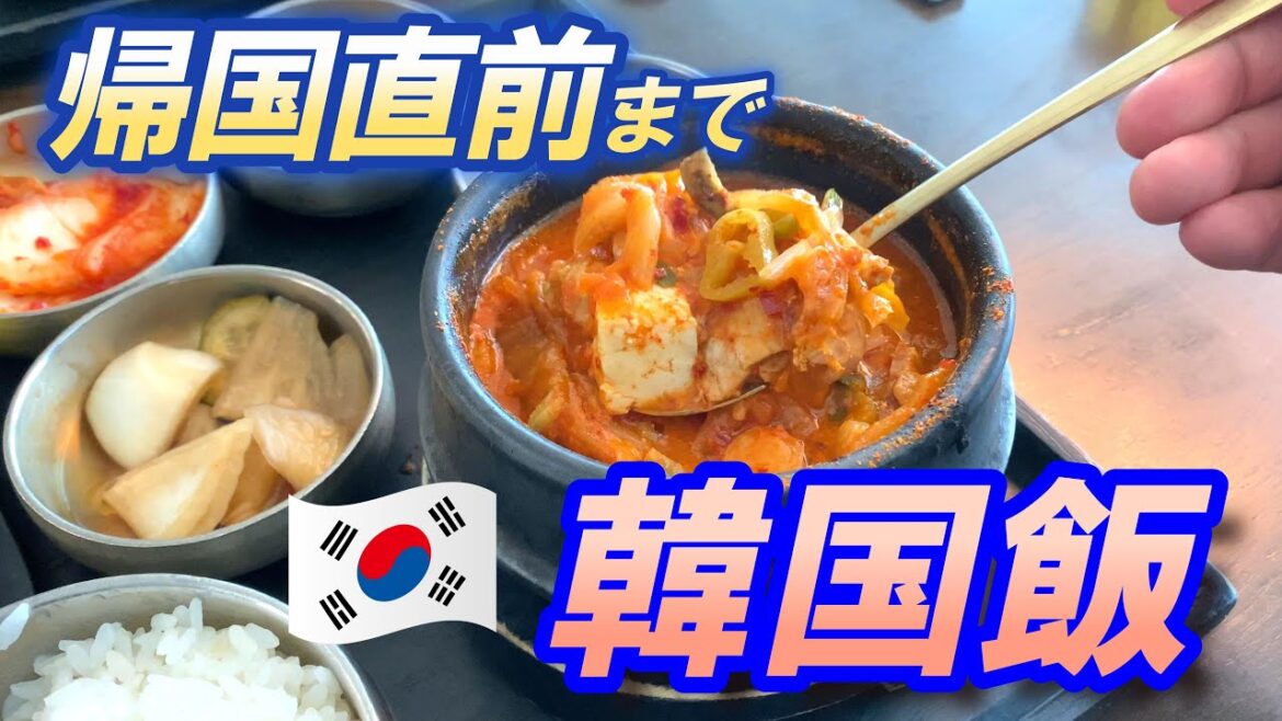 【🇰🇷韓国#2-9】帰国前おすすめグルメ T-way利用 仁川国際空港 → 関西国際空港 夫婦旅