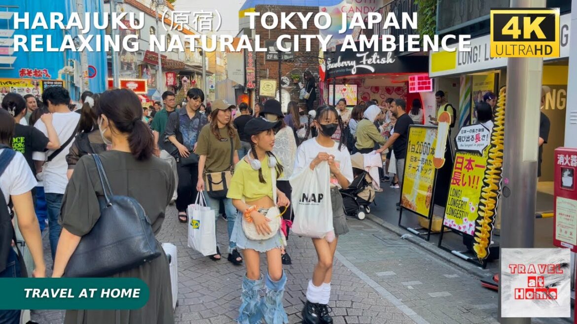 4k hdr japan travel | Walk in Harajuku(原宿)Tokyo japan | Relaxing Natural City ambience 4k hdr japan travel | Walk in Harajuku(原宿)Tokyo japan | Relaxing Natural City ambience