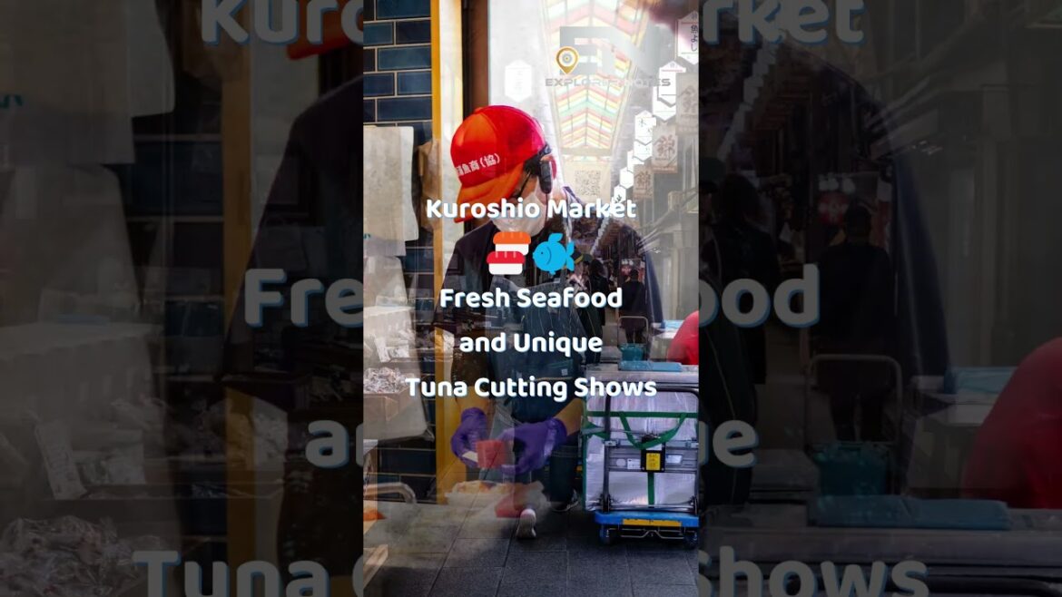 Explore Wakayama City 🇯🇵 Travel Guide to the Jewel of the Kii Peninsula Explore Wakayama City 🇯🇵 Travel Guide to the Jewel of the Kii Peninsula