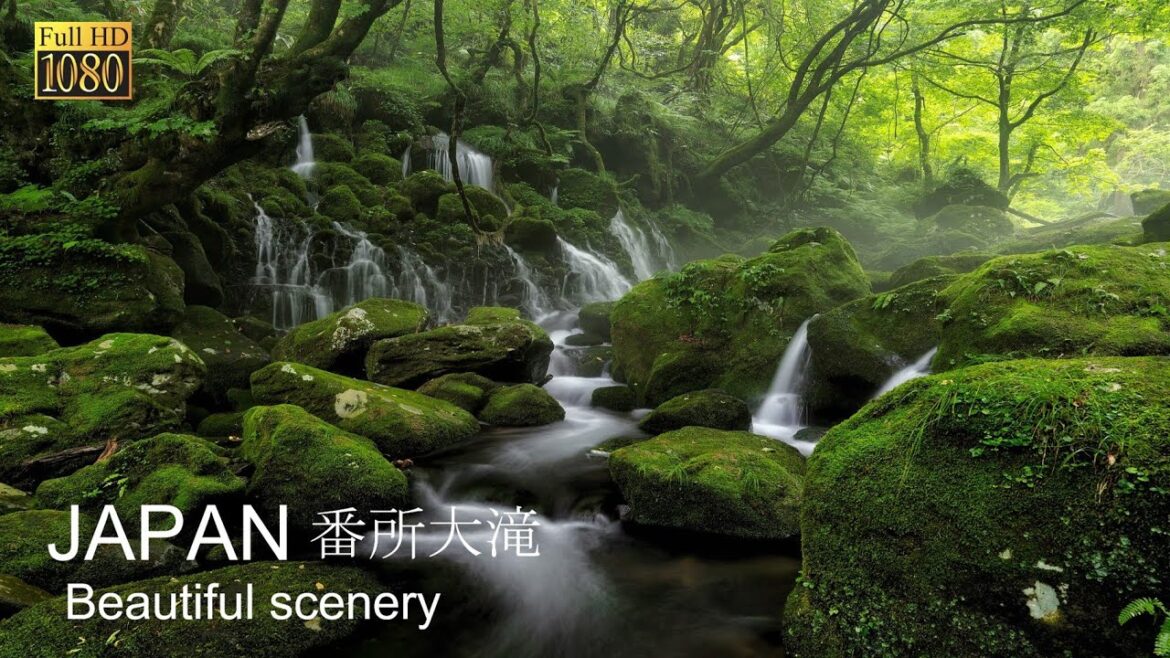 The healing of Japanese nature sounds. Bandokoro waterfall Nagano. 長野番所大滝癒しの自然音BGM