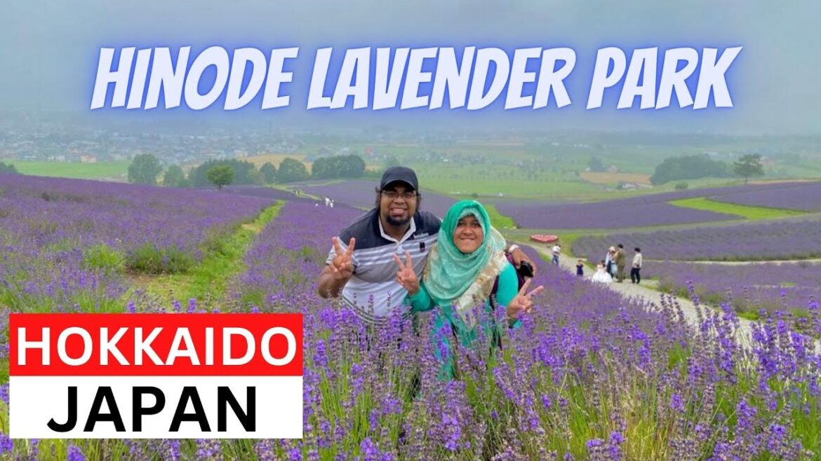 HINODE LAVENDER PARK | KAMIFURANO, HOKKAIDO, JAPAN | JAPAN TRAVEL VLOG | MAMUN CHOWDHURY HINODE LAVENDER PARK | KAMIFURANO, HOKKAIDO, JAPAN | JAPAN TRAVEL VLOG | MAMUN CHOWDHURY
