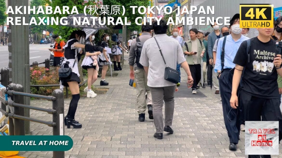 4k hdr japan travel | Walk in Akihabara (秋葉原) Tokyo japan | Relaxing Natural City ambience 4k hdr japan travel | Walk in Akihabara (秋葉原) Tokyo japan | Relaxing Natural City ambience