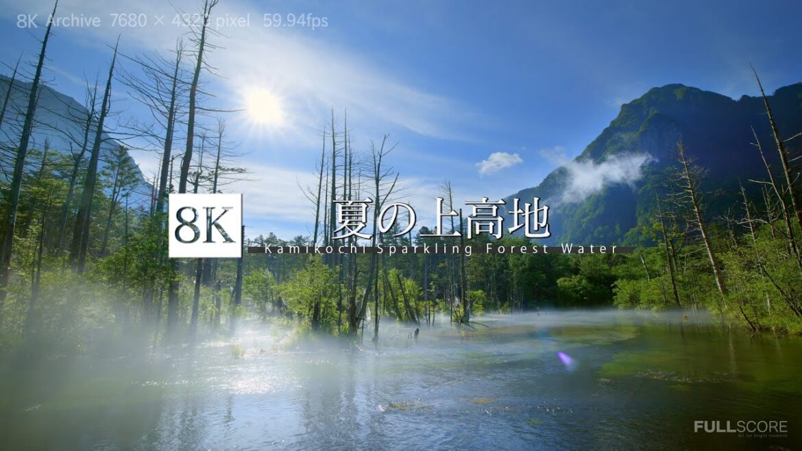 [8K footage] Kamikochi Sparkling Forest Water【長野 夏の上高地_8K】