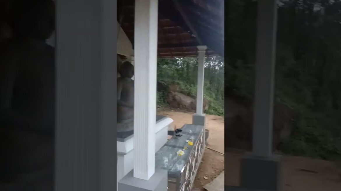 #shorts | sri lanka travel vlog  | Travel vlog | #youtubeshorts | #short #shorts | sri lanka travel vlog  | Travel vlog | #youtubeshorts | #short