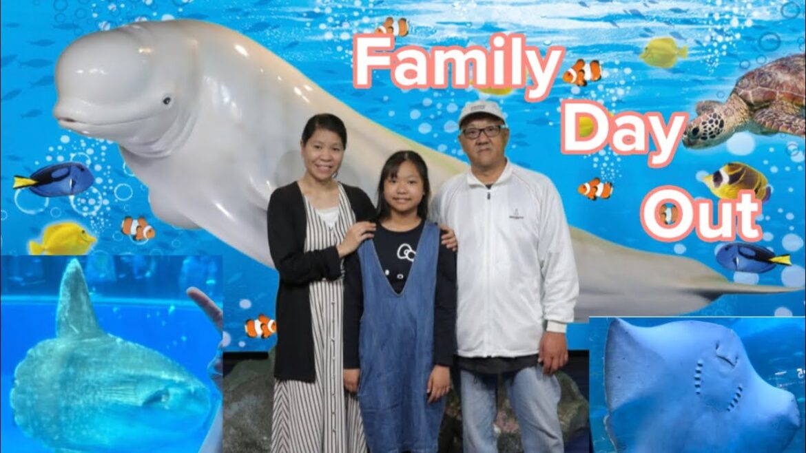 Travel to Yokohama🇯🇵Creatures that live in the ocean can be seen💞Hakkejima Sea Paradise🐧🦈🐬