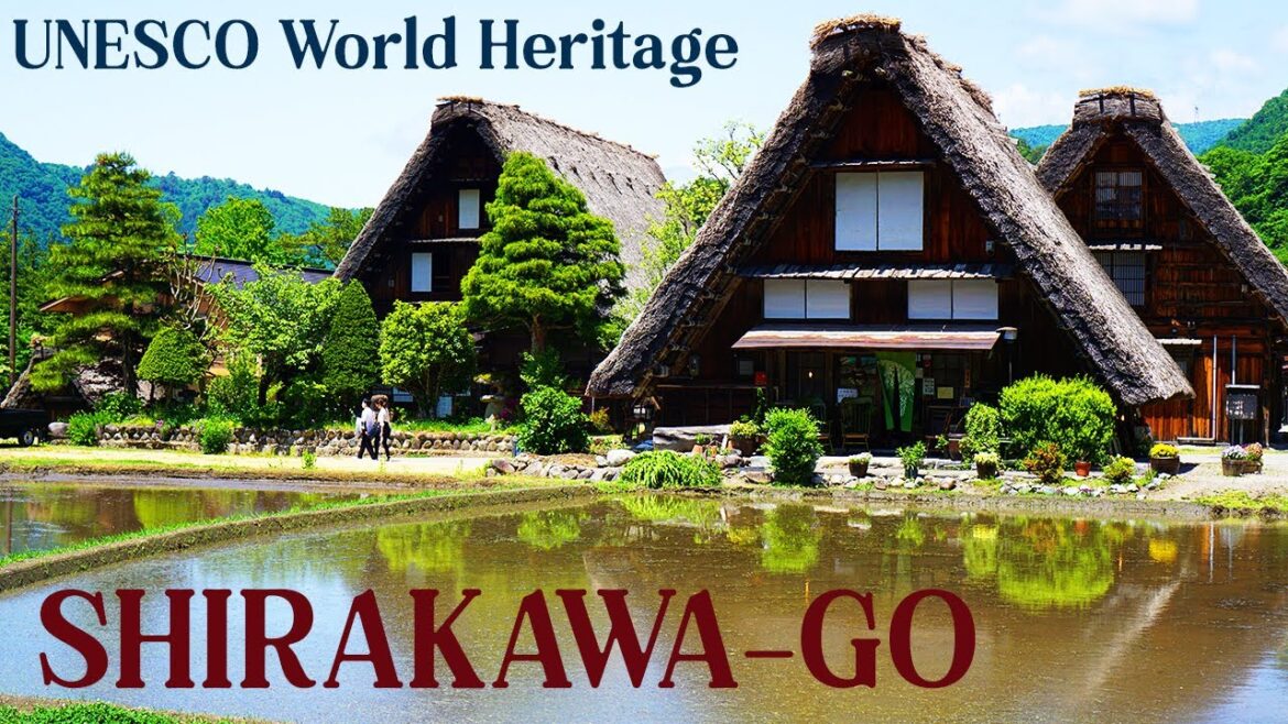 From Nagoya to Shirakawa-go: A Scenic Bus Adventure into UNESCO's Mountain Village