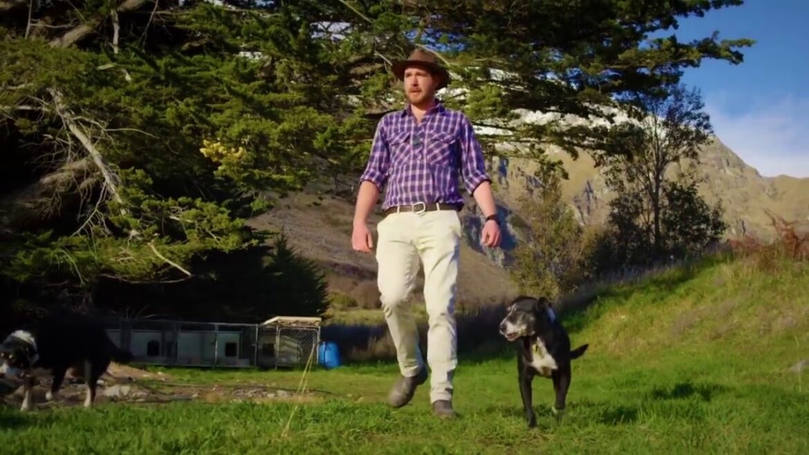 Real Journeys | TSS Earnslaw Cruise & Walter Peak Farm | Experience Oz + Nz Real Journeys | TSS Earnslaw Cruise & Walter Peak Farm | Experience Oz + Nz