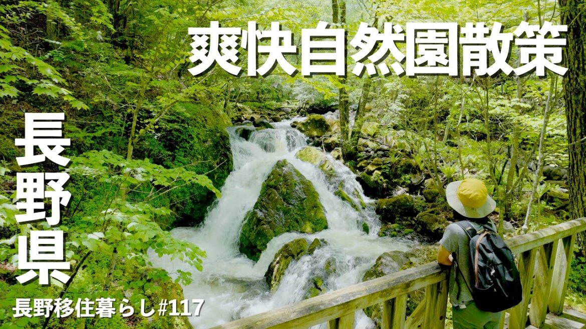【長野移住】高原の自然園の散策は想像以上に爽快だった!!｜八千穂高原自然園｜信州そば切りの店｜ドライブ｜田舎暮らし｜長野県｜4K