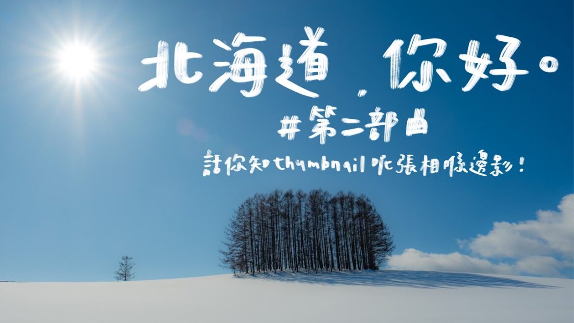 🔸終於住左兩間靚酒店！自駕遊梗係要專登揸車去神社買御守☃$180超抵食海膽丼/青い池夜間點燈/美瑛無敵景色+好味西餐！🔸｜北海道自駕遊第二部曲，你好。