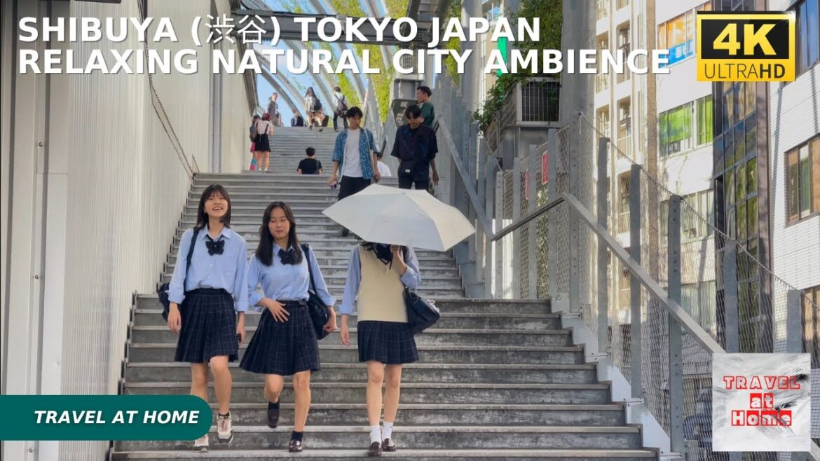 4k hdr japan travel | Walk in Shibuya (渋谷) Tokyo japan |  Relaxing Natural City ambience