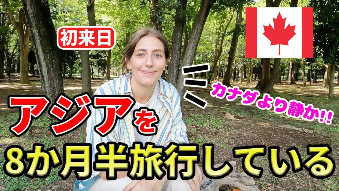 初来日の外国人観光客に一人旅の理由を聞いてみた|海外の反応【外国人にインタビュー】 初来日の外国人観光客に一人旅の理由を聞いてみた|海外の反応【外国人にインタビュー】