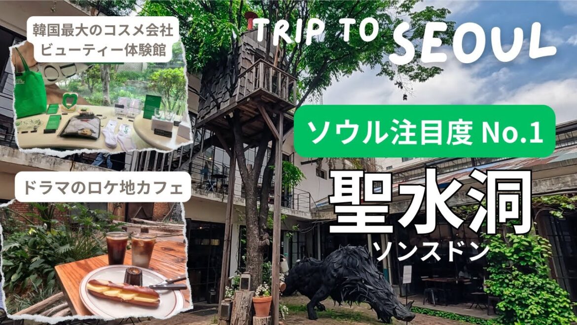 【大人気の聖水洞】ソウル行くならマスト!映えカフェの宝庫!オシャレ感度高すぎのコスメ体験/全部おすすめ/Seoul Korea Vlog #seoul #聖水洞 #韓国 【大人気の聖水洞】ソウル行くならマスト!映えカフェの宝庫!オシャレ感度高すぎのコスメ体験/全部おすすめ/Seoul Korea Vlog #seoul #聖水洞 #韓国