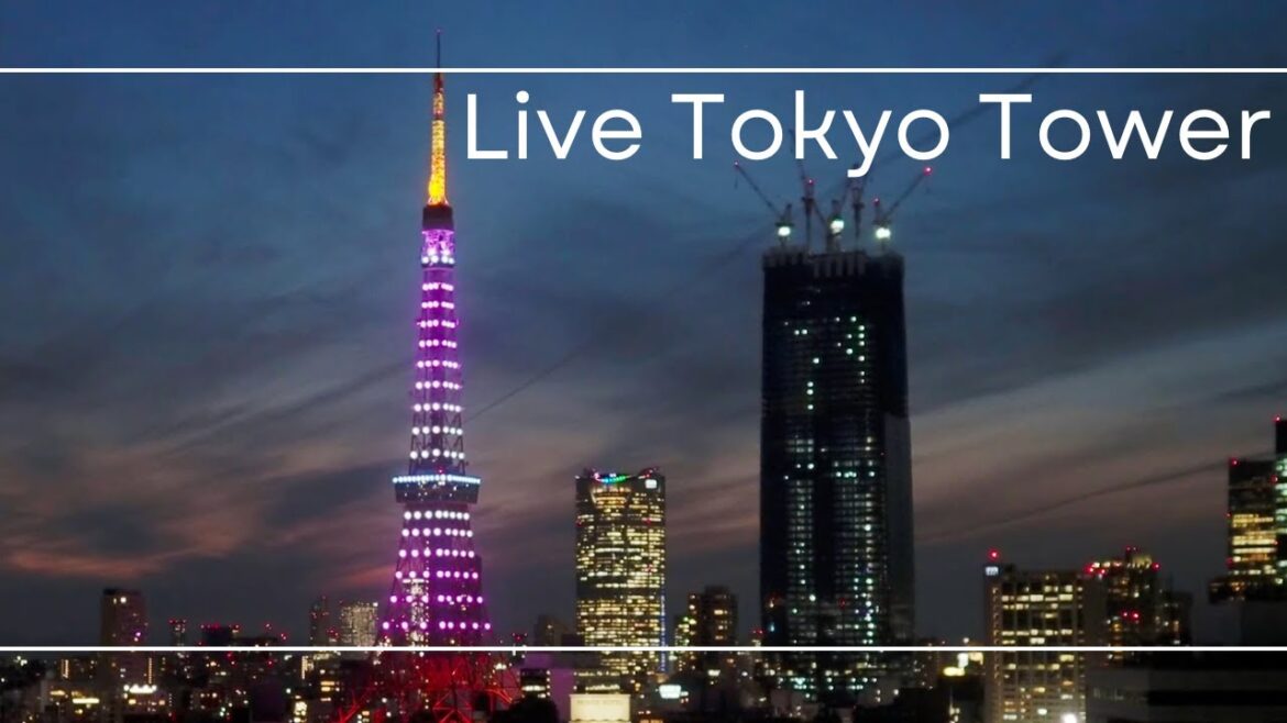 4K LIVE 東京タワーと麻布台ヒルズ森JPタワー /Tokyo Tower and Roppongi Hills and Azabudai Hills 2023.6.20