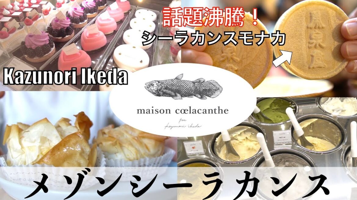 羽生結弦さんの差し入れで有名な「シーラカンスモナカ」と「バター最中」を食べ比べ！仙台スイーツ | メゾンシーラカンス | kazunoriikeda | maisoncoelacanthe #仙台土産