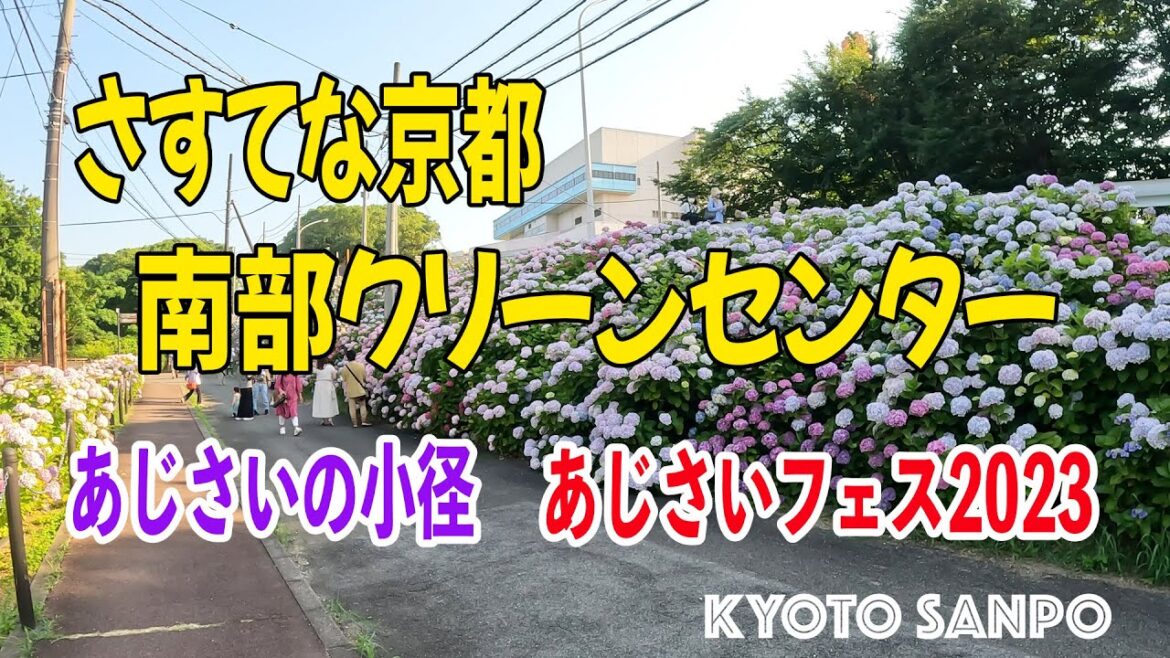 [京都お散歩4K] 2023/6/17 穴場発見!! 『さすてな京都』あじさいフェス2023 kyoto