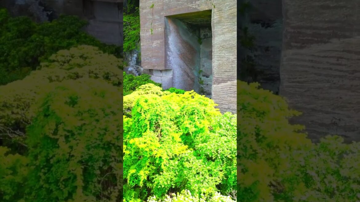 Drone x Japan - Chiba #japan #drone #shorts