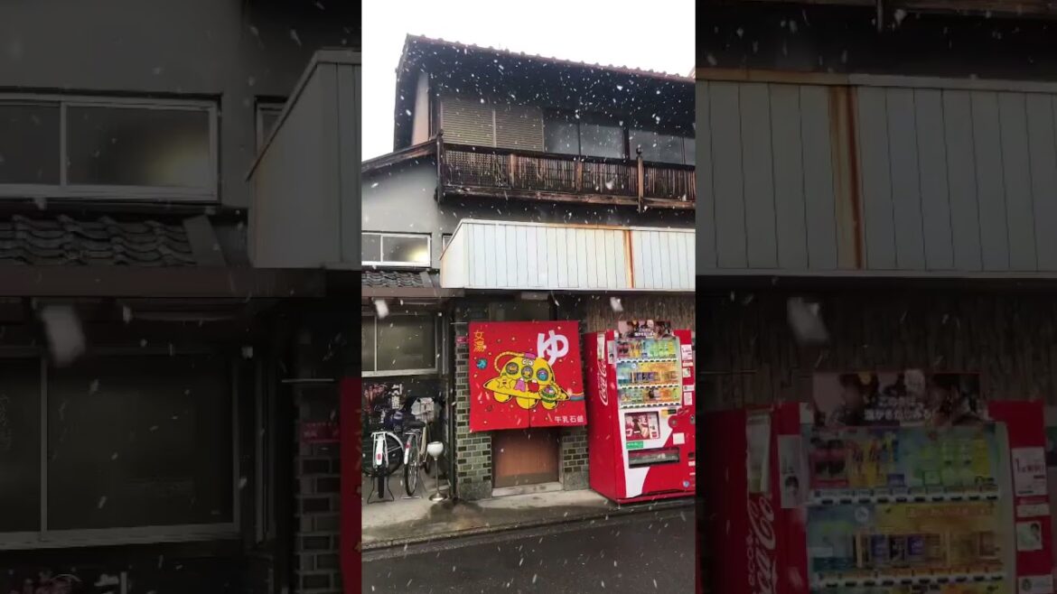 #japan #short #shorts #travel #vacation #explore #globetrotter #monde #shortsfeed #japanese