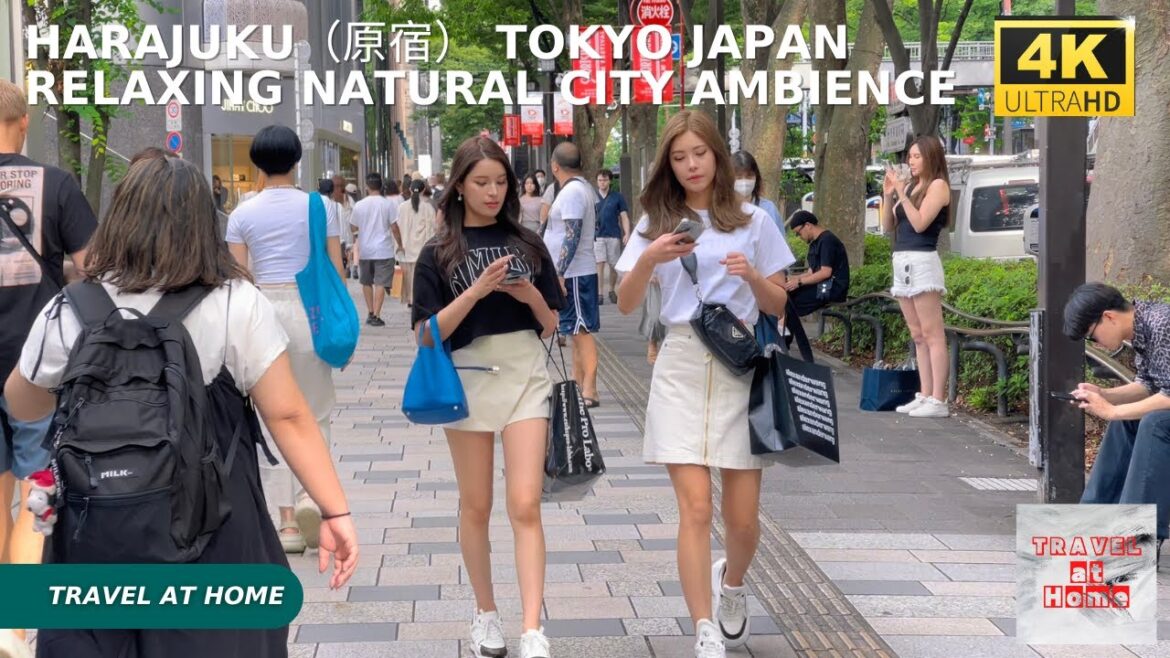 4k hdr japan travel | Walk in Harajuku（原宿）Tokyo japan |  Relaxing Natural City ambience