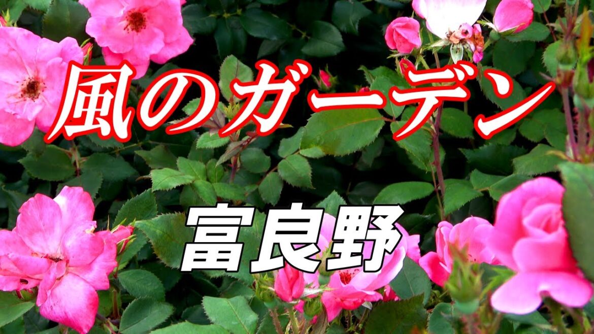 『風のガーデン』ロケ地探訪【北海道　富良野　新富良野プリンスホテル】４K