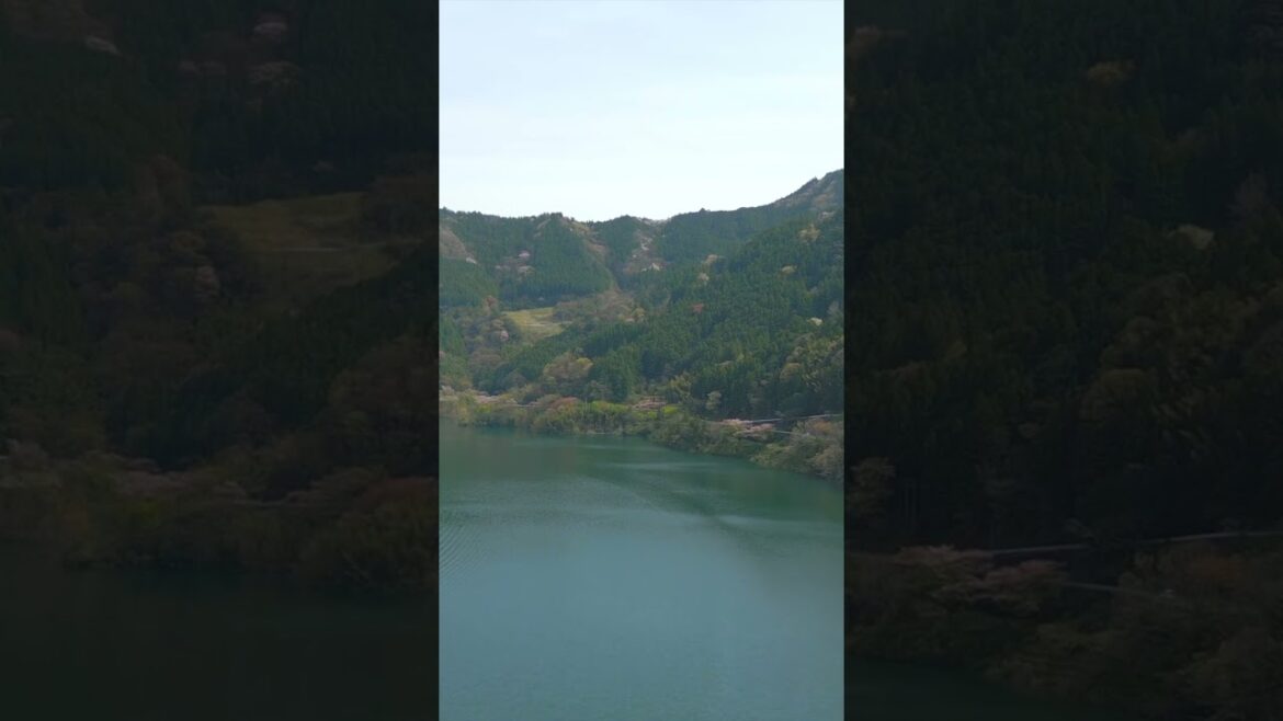 Drone x Japan – Kochi #japan #drone #shorts Drone x Japan - Kochi #japan #drone #shorts