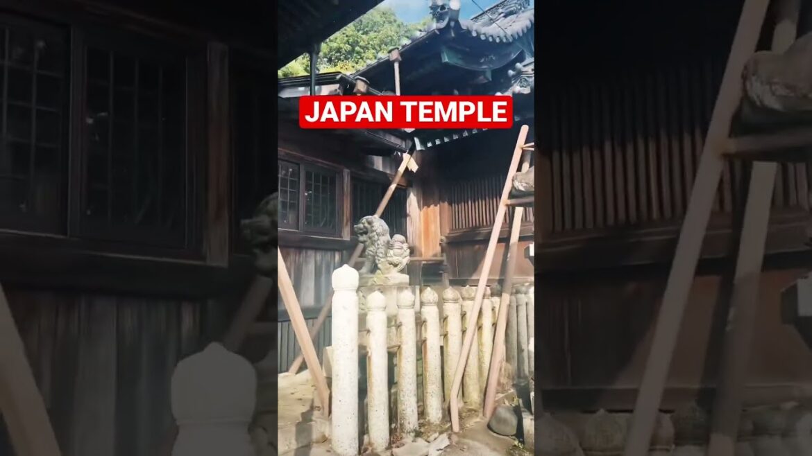 JAPAN TEMPLE  in Nagoya #shortsfeed #youtubeshorts #shortvideo #nagoya#temple #visitjapan #templeart