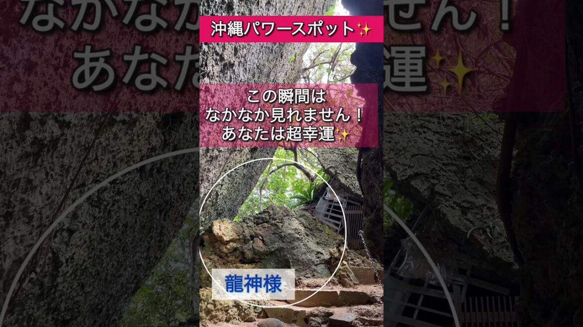 龍神様と繋がりたいならすぐ見てください【沖縄シルミチュー】奇跡が起こる前兆　#パワースポット