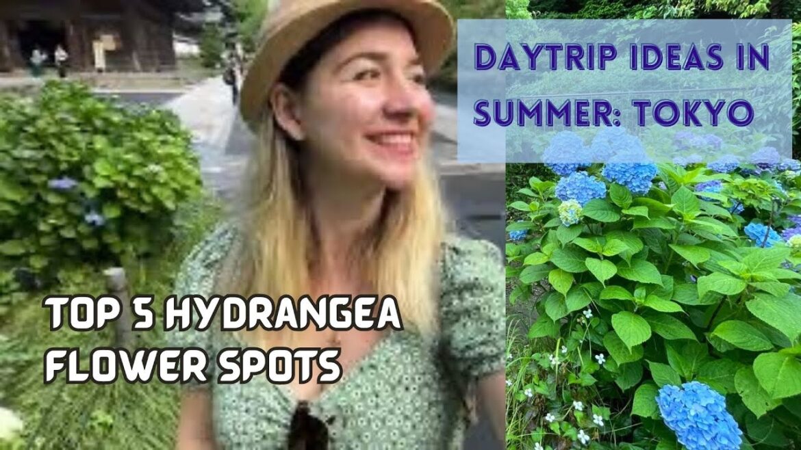 5 Daytrip ideas from Tokyo to explore summer flowers | #Japan #summer 5 Daytrip ideas from Tokyo to explore summer flowers | #Japan #summer