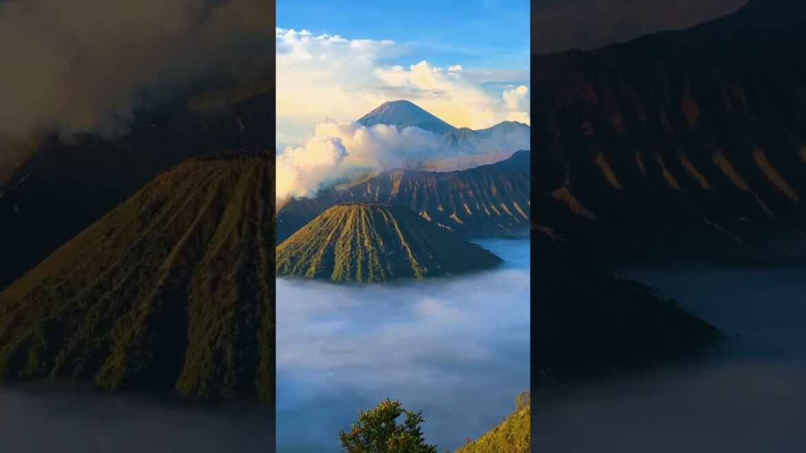 "Discover the Hidden Beauty of Indonesia: The Enigmatic View of Bromo Volcano#yanjin #china