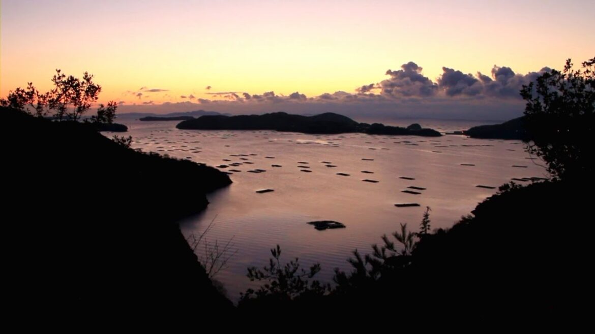岡山県　虫明　迫門の曙　（瀬戸内海の朝日）　3/7　夜明け前　[HD]