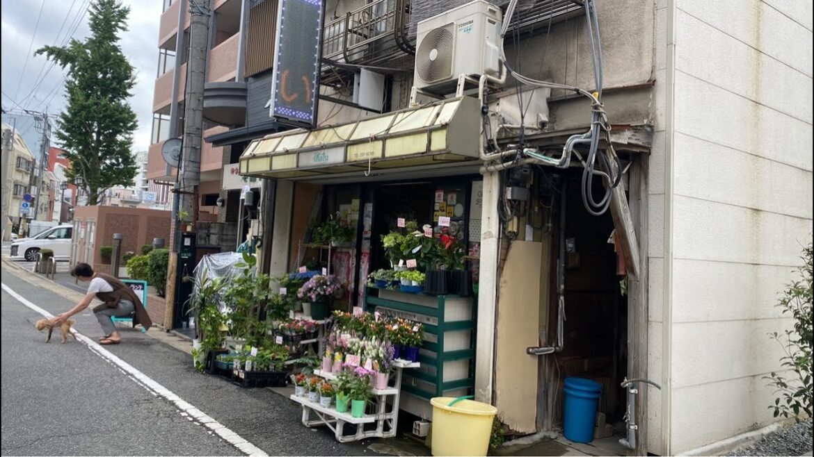 Back Streets of Fukuoka🇯🇵LIVE Walking in Japan Back Streets of Fukuoka🇯🇵LIVE Walking in Japan